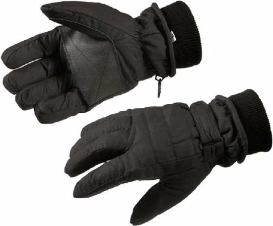 Aanbiedingen đ Gloves&Co Thinsulate Ski Handschoen 2.0 - Heren - Zwart - Maat L đ 3 Aanbiedingen đ Gloves&Co Thinsulate Ski Handschoen 2.0 - Heren - Zwart - Maat L đ