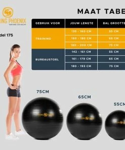 Groothandel π― Rising-Phoenix RP® Fitness Bal Yoga Zitbal Fitnessbal Gymbal Pilates Yogabal Balansbal - Tas, Steunring & Resistance Bands - Handpomp & Ebook π₯° 18 Groothandel π― Rising-Phoenix RP® Fitness Bal Yoga Zitbal Fitnessbal Gymbal Pilates Yogabal Balansbal - Tas, Steunring & Resistance Bands - Handpomp & Ebook π₯° -Nijdam Shop 550x549 6