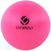 Aanbiedingen ✨ Brabo Hockeybal - Roze 😉 1 Aanbiedingen ✨ Brabo Hockeybal - Roze 😉 -Nijdam Shop 550x550 459