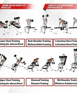 Groothandel 💯 Physionics® Multifunctionele Halterbank, Halterbank Verstelbaar, Fitnessbank, Rugleuning 5-voudig Verstelbaar, Inklapbaar, Beenhouder, Tot 200 Kg Belastbaar, Schuine Bank, Platte Bank, Trainingsbank, Fitnessbank Voor Thuis, Buiktrainer 👏 -Nijdam Shop 550x555 6
