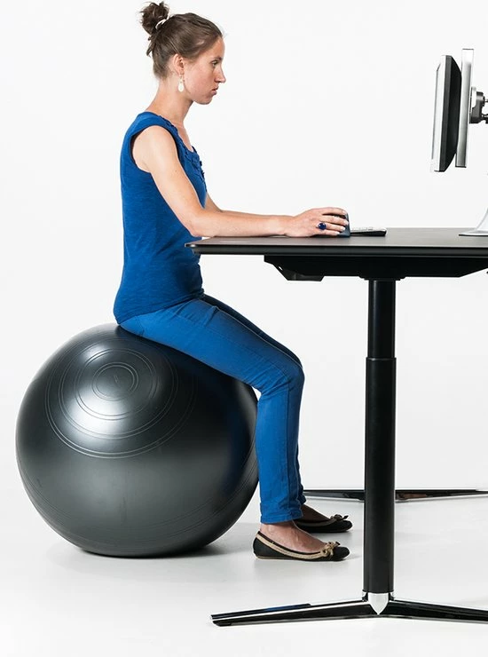 Beste deal ⭐ Blomz Gym Bal Inclusief Pomp - Yoga - Pilates Bal - Fitness Bal - Zwangerschapsbal - Goede Houding Bij Het Thuiswerken - 65 Cm - Kleur: Zwart ???? 3 Beste deal ⭐ Blomz Gym Bal Inclusief Pomp - Yoga - Pilates Bal - Fitness Bal - Zwangerschapsbal - Goede Houding Bij Het Thuiswerken - 65 Cm - Kleur: Zwart ????